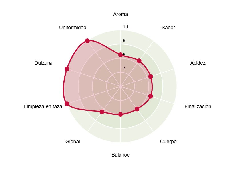 Gráfica cafe nicaragua