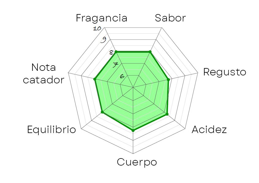 Gráfica cata de café